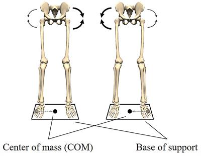 Frontiers | Clarifying The Biomechanical Concept Of Coordination ...